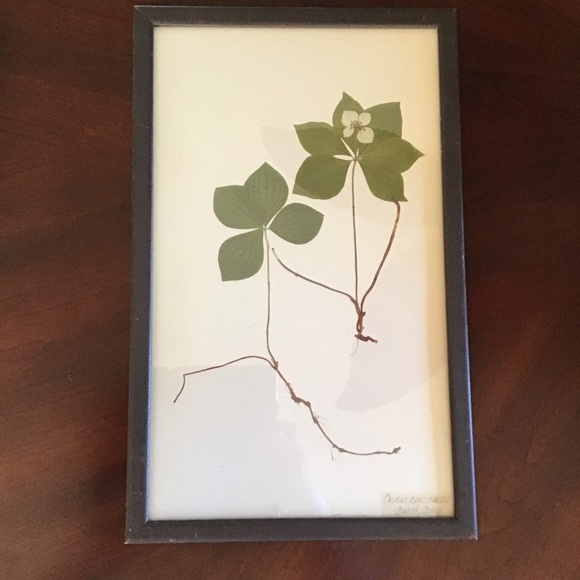 FINAL SALE Botanical Leaf Art Wall Decor - Picture 1 of 6